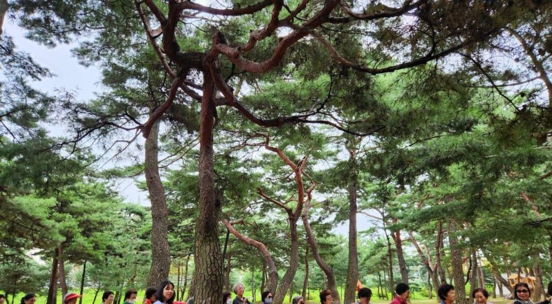 ‘송림 숲 생태해설 프로그램’ 시작